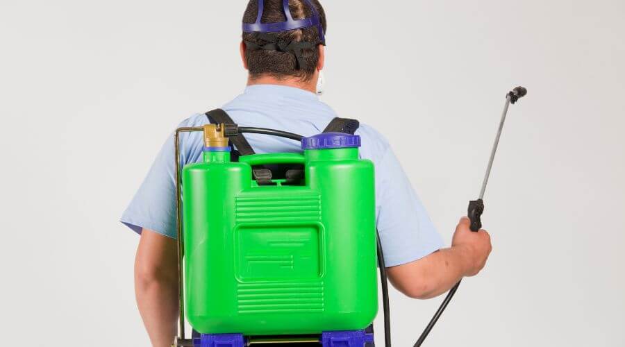 Why choose Bed Bug Heat Treatment Paxton for bed bug heat treatment in Paxton